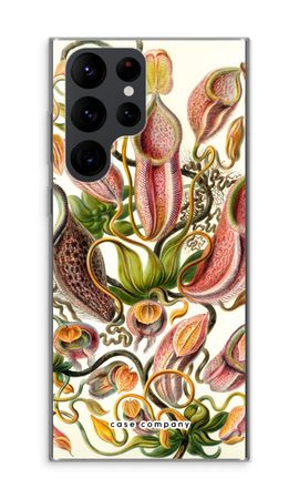 Haeckel Nepenthaceae