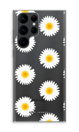 Daisies