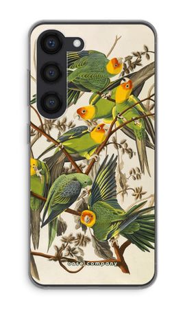 Carolina Parrot