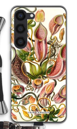 Haeckel Nepenthaceae