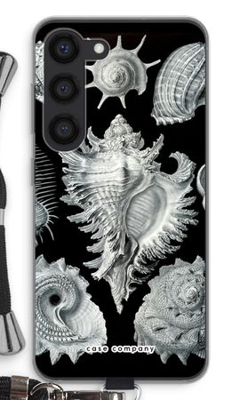 Haeckel Prosobranchia