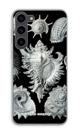 Haeckel Prosobranchia