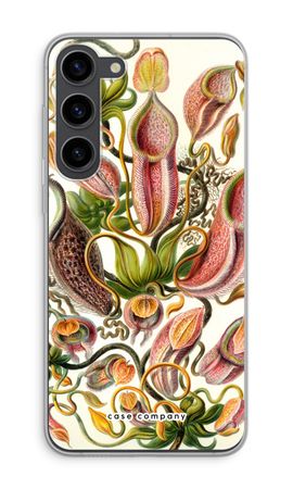 Haeckel Nepenthaceae