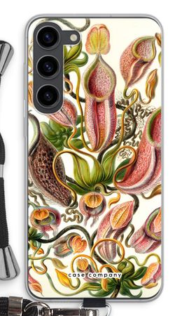 Haeckel Nepenthaceae