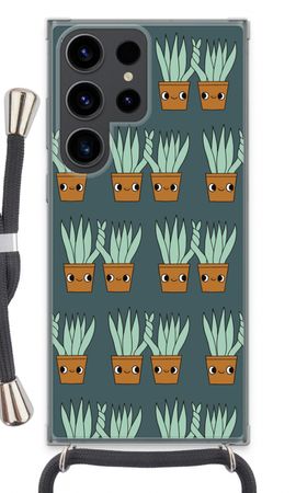 Sansevieria