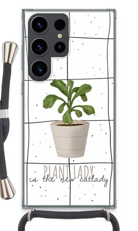 Houseplant on windowpane