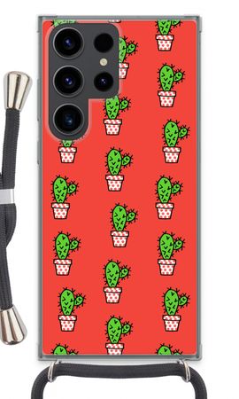 Mini cactus
