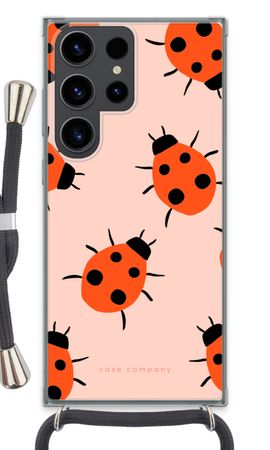 Ladybugs