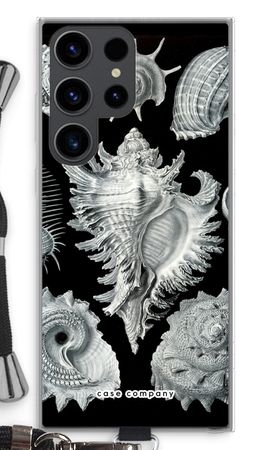 Haeckel Prosobranchia