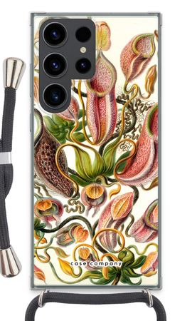 Haeckel Nepenthaceae