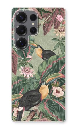 Tropical jungle toucan