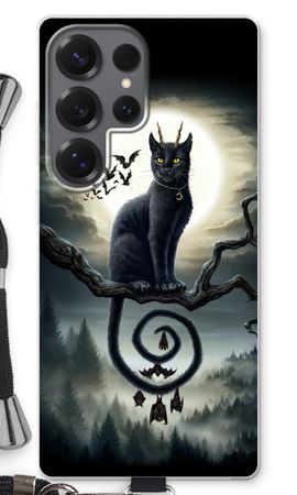 Moonlight Companions