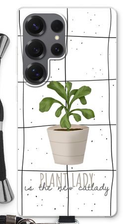 Houseplant on windowpane