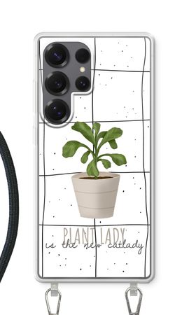 Houseplant on windowpane