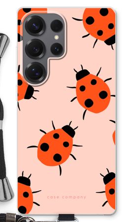 Ladybugs
