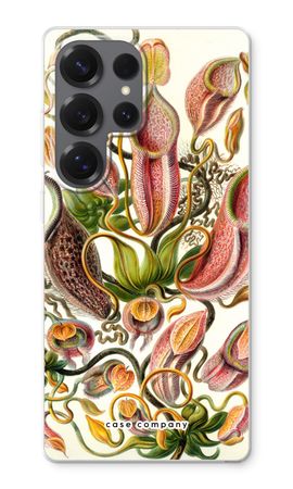 Haeckel Nepenthaceae