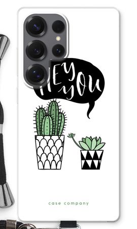Hey you cactus
