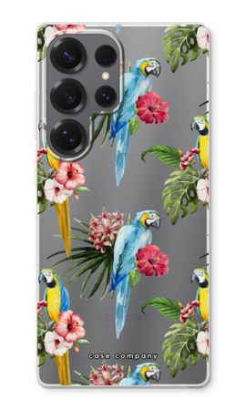 Farbenfrohe Papageien