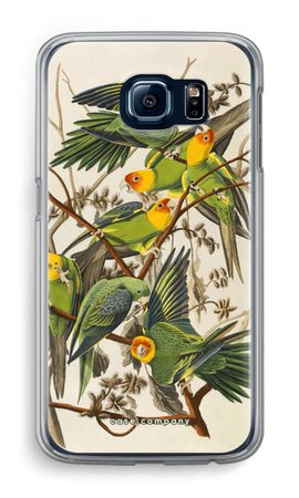 Carolina Parrot