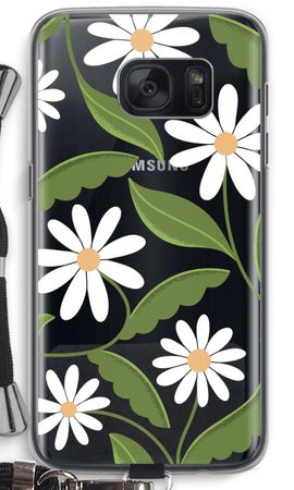 Daisies All Over