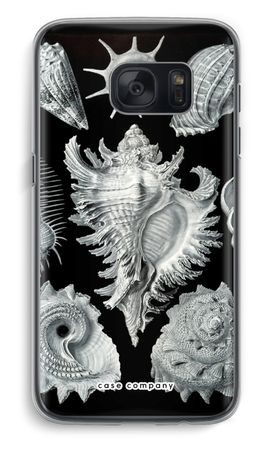 Haeckel Prosobranchia