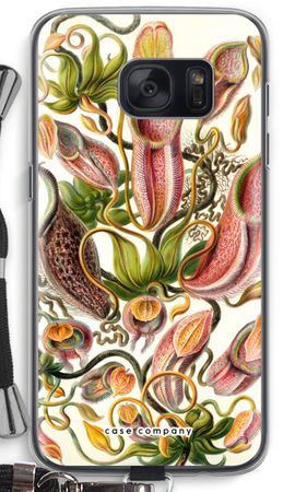 Haeckel Nepenthaceae