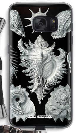Haeckel Prosobranchia
