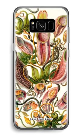 Haeckel Nepenthaceae