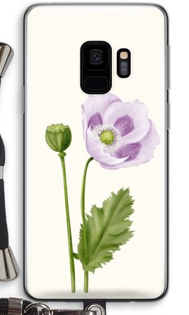 Purple poppy
