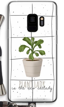 Houseplant on windowpane