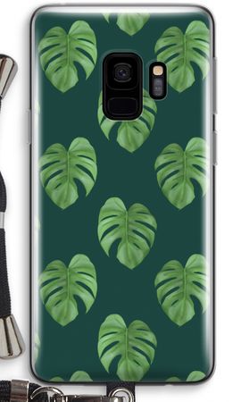 Monstera leaves