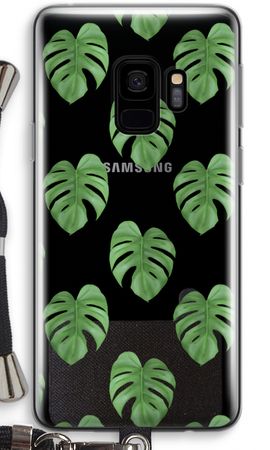 Monstera leaves