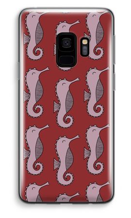 Seahorses