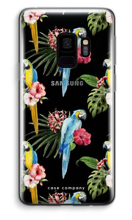 Colourful parrots