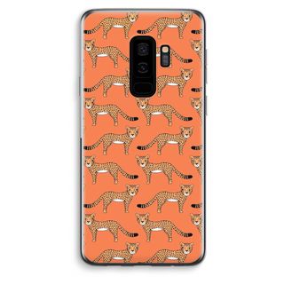 Cheetah