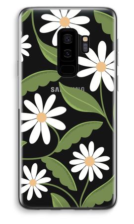Daisies All Over