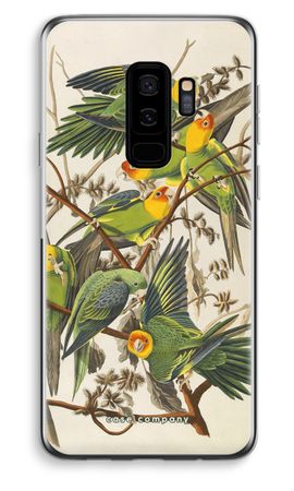 Carolina Parrot