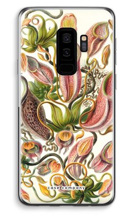 Haeckel Nepenthaceae