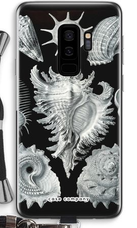 Haeckel Prosobranchia