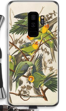 Carolina Parrot