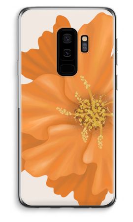 Orange Ellila flower