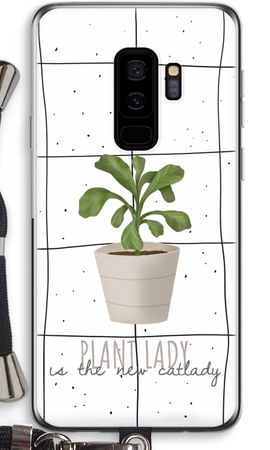 Houseplant on windowpane