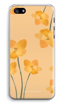 Sunlit bloom
