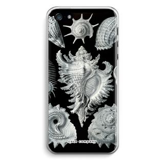 Haeckel Prosobranchia