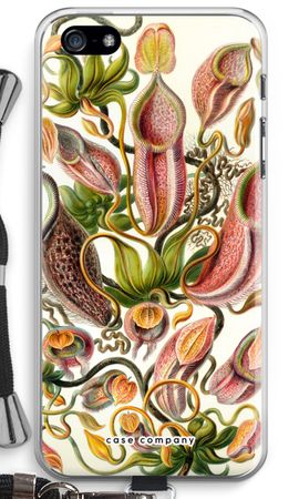 Haeckel Nepenthaceae