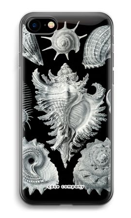 Haeckel Prosobranchia