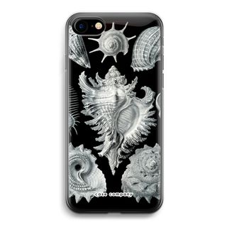 Haeckel Prosobranchia