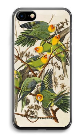 Carolina Parrot