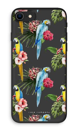 Farbenfrohe Papageien