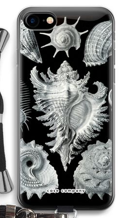 Haeckel Prosobranchia